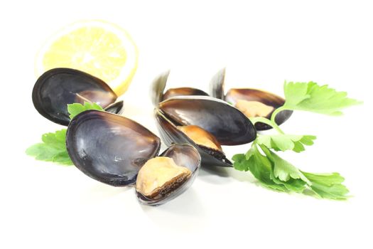 Mussels with flat leaf parsley and lemon on a white background