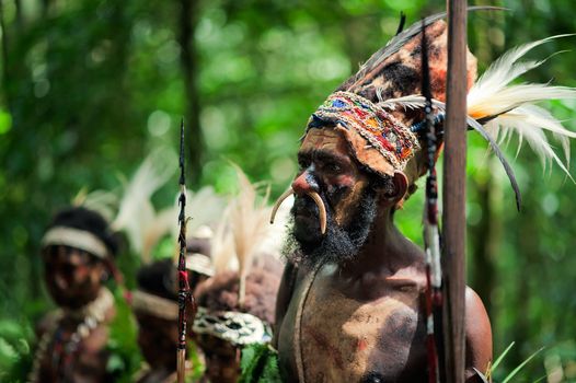 NEW GUINEA, INDONESIA - 2 FEBRUARY: The warrior of a Papuan tribe of Yafi in traditional clothes, ornaments and coloring. New Guinea Island, Indonesia. February 2, 2009.