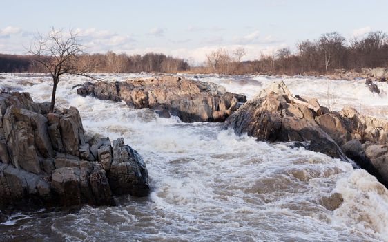 Great Falls on Potomac river outside Washington DC in flood after heavy rain