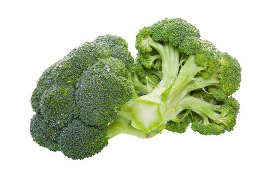 Two florets of fresh green broccoli.  Shot on white background.