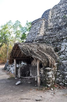 Coba Mayan Ruins in Mexico