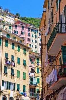 Colorful Buildings in Cinque Terre