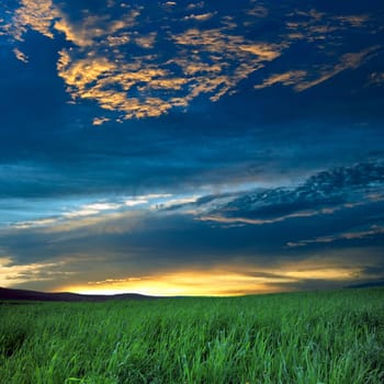 Green field and blue sky with thunder-clouds on it