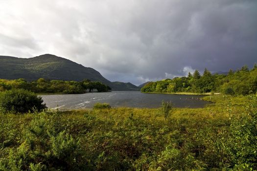 killarney Park - irlanda - contea kerry