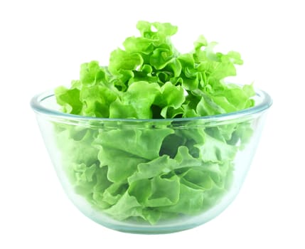  Lettuce salad in transparent bowl isolated on white