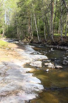 Calm river with stones in forest