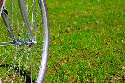 Bicycle wheel on first spring grass background
