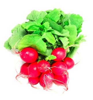 Fresh radish isolated on white background