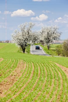 spring landscape with a road, Czech Republic