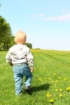 Little child walking on green spring field