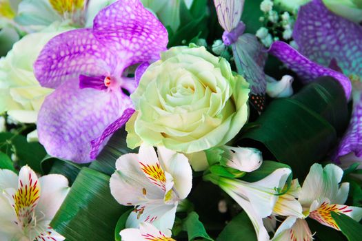 Bunch of different flowers close up background