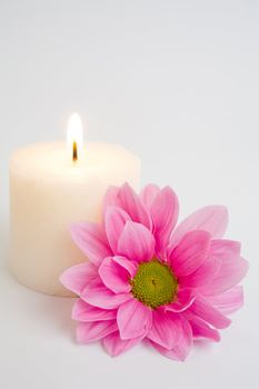 An image of a candle and flower