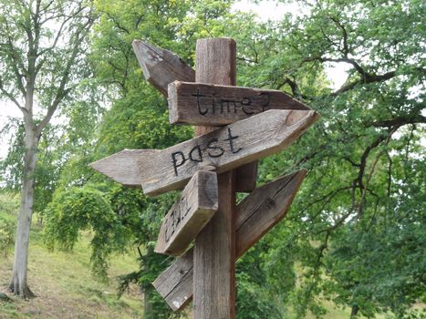 Photo of a wooden sign in woodland with the words Time and Past
