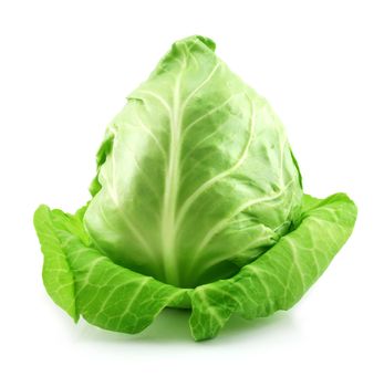 Ripe Green Cabbage Isolated on White Background