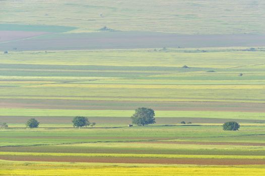 landscape with mountains and hills in Dobrogea