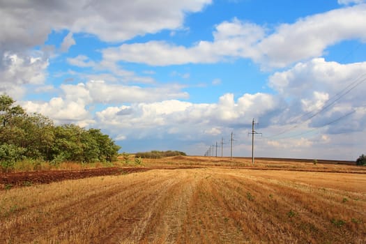 Summer landscape with field and blue sky
