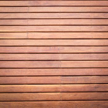 texture of wood for background