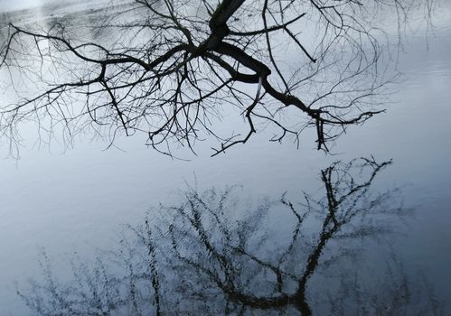 reflection in the water