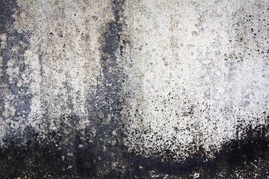 grunge wall texture