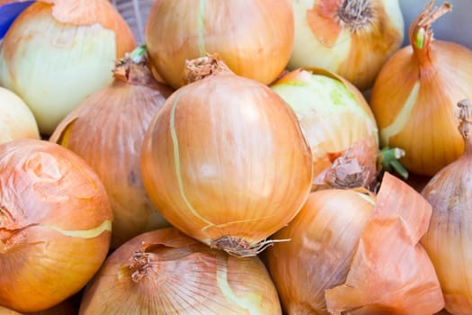 close up of onion in market