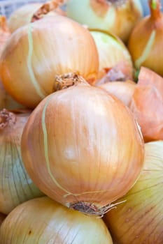 close up of onion in market