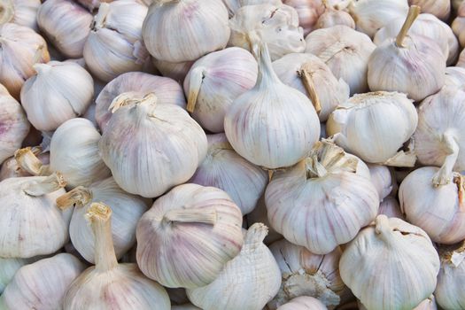 pile of garlic in market