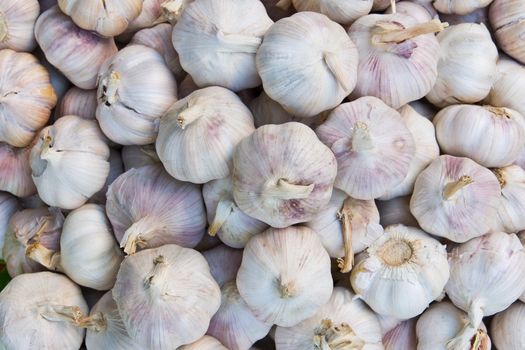 pile of garlic in market