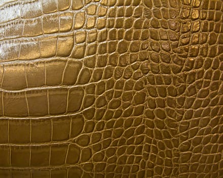 crocodile skin texture