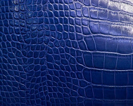 crocodile skin texture