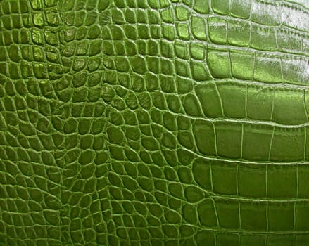 crocodile skin texture