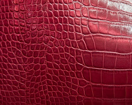 crocodile skin texture