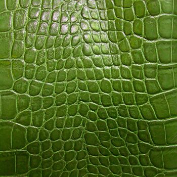 crocodile skin texture