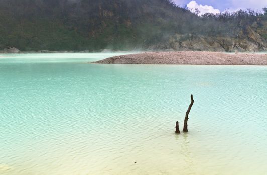 the remmnatn of dead tree in the sulphuric water of volcanic crater lake of Kawah Putih, Bandung Indonesia