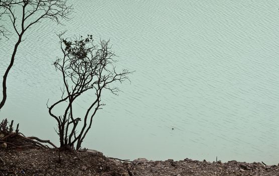 Tree silhouette at the edge of volcanic crater lake in Kawah Putih, Bandung Indonesia