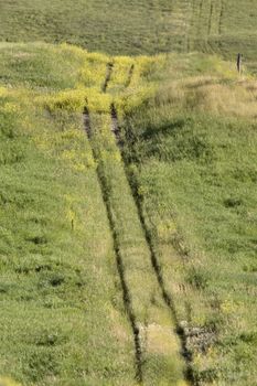 OldTrail in Prairie in Saskatchewan Canada summer