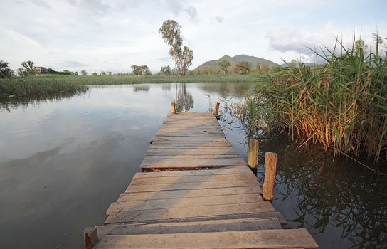 Jetty on lake at day