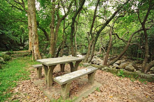 Picnic place in forest 