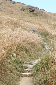 Stone path in the mountains