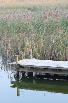 wooden pier in tranquil lake at morning 