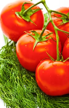 vegetables for salad, white background