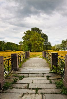 stone bridge to meadow with big tree