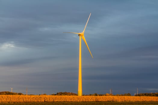 Wind turbine in a field in the evening, producing wind, Canada