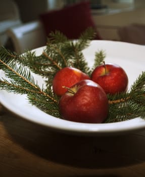 Red Apples and Pine as decoration