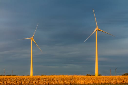 Wind turbine in a field in the evening, producing wind, Canada