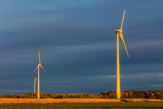 Wind turbine in a field in the evening, producing wind, Canada