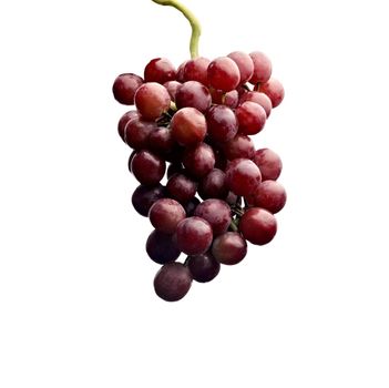 Close up of a cluster of red grapes
