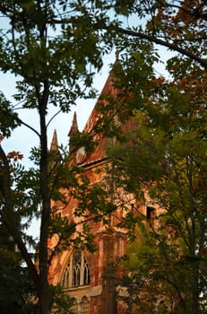 old gothic tower behind trees