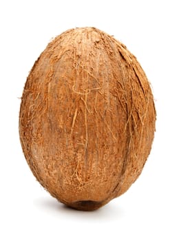 coconut isolated on white background