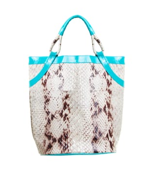 Stylish woman's handbag from crocodile isolated on white