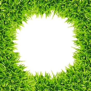 green grass frame isolated on white background